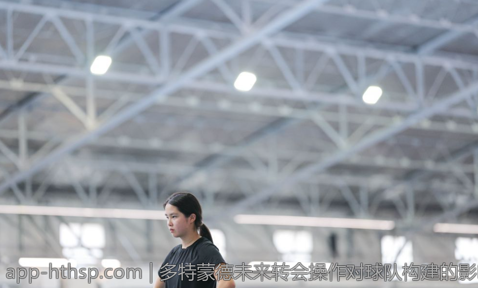 多特蒙德未来转会操作对球队构建的影响